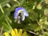 277869 – Photo : Gould24 – France (24)