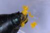 277949 – Photo : Patrick ORVANE – France (02)