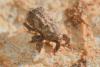 277329 – Photo : Bernard Nogues – France (83)