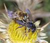 277458 – Photo : Paul Vignac – France (20)