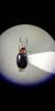 277981 – Photo : Yvan Brugerolles – France (84)
