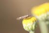 277449 – Photo : Simon Thevenin – France (04)