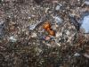 277304 – Photo : DL – Thaïlande
