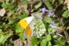278540 – Photo : florent besson – France (18)