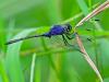 278166 – Photo : Roland Rosemberg – Ouganda