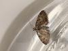 279161 – Photo : Gould24 – France (24)