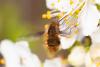 279703 – Photo : Pierre Duhem – France (95)
