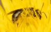 279658 – Photo : Raphaël Grellety – France (34)