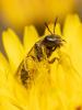 279654 – Photo : Raphaël Grellety – France (34)