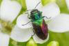 279675 – Photo : florent besson – France (18)