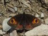 28225 – Photo : jeromebubu – Andorre