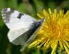 28148 – Photo : Daniel Morel – France (73)
