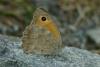 28249 – Photo : Daniel Morel – France (13)