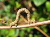 28761 – Photo : jeromebubu – France (81)