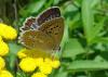 28003 – Photo : Eric SYLVESTRE – Espagne