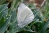 28128 – Photo : Daniel Morel – France (11)
