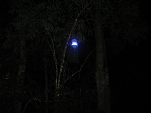 Lumineux lampe