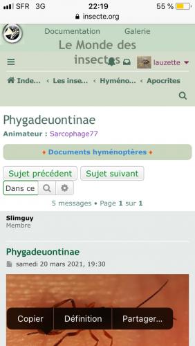 Indéterminé