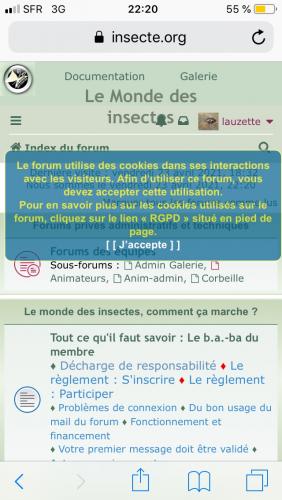 Indéterminé
