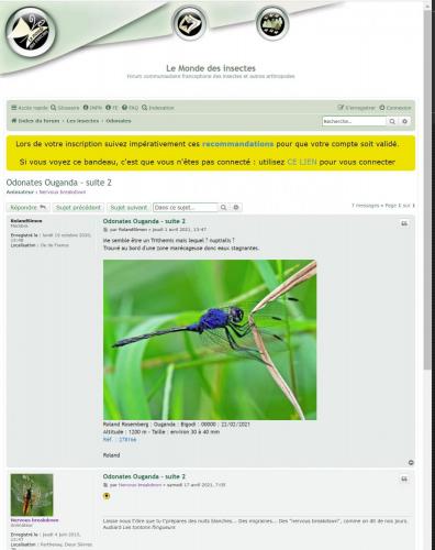 Indéterminé