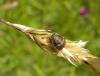 280406 – Photo : Maria Justamond – Royaume-Uni