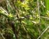 280414 – Photo : Maria Justamond – Royaume-Uni