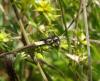 280555 – Photo : Maria Justamond – Royaume-Uni