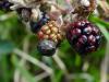 280410 – Photo : Maria Justamond – Royaume-Uni