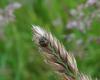 280411 – Photo : Maria Justamond – Royaume-Uni