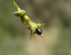 280553 – Photo : Maria Justamond – Royaume-Uni
