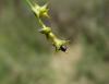 280412 – Photo : Maria Justamond – Royaume-Uni