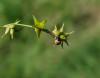 280413 – Photo : Maria Justamond – Royaume-Uni