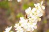 280461 – Photo : Pierre Duhem – France (95)