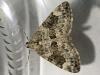 280098 – Photo : Gould24 – France (24)