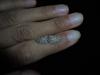 280046 – Photo : Nirina Andrianarisoa – France (95)