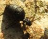 280562 – Photo : Antoinette Fleixas – France (21)