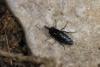 280591 – Photo : Simon Thevenin – France (13)