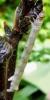 280864 – Photo : Randovu – France (29)