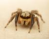 280908 – Photo : Raphaël Grellety – France (83)