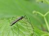 280570 – Photo : Sandor31 – France (31)