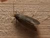 280004 – Photo : Cédric Mondy – France (94)