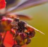 280814 – Photo : Aline Martello – France (25)