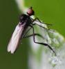 281786 – Photo : Jean-Michel GAREL – France (89)