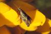 281267 – Photo : Laurent Poux – France (35)
