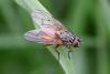 281506 – Photo : Didier Houbrechts – Belgique