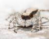 281436 – Photo : Raphaël Grellety – France (83)