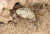 281592 – Photo : alain Roujas – Maroc