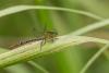 282388 – Photo : Vincent Romera – Bénin