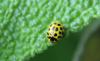 282779 – Photo : oty – France (29)