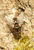 282631 – Photo : Julien Bottinelli – France (77)